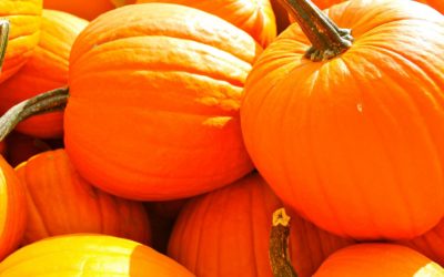 Its Fall Ya’ll: Autumnal Happenings @ the Market