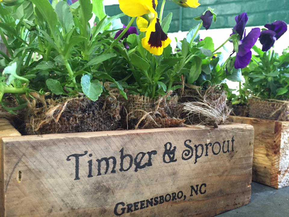 Timber & Sprout Greensboro Farmers Curb Market