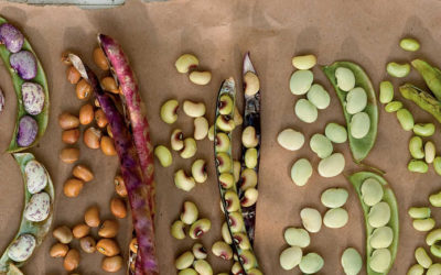 Fresh Field Peas with Pot Liquor