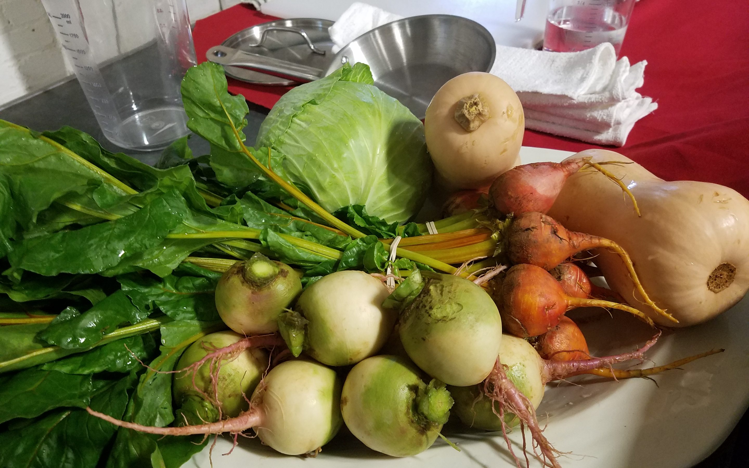 Call for Chefs and Educators for Local Food Tastings At the Greensboro Farmers Curb Market