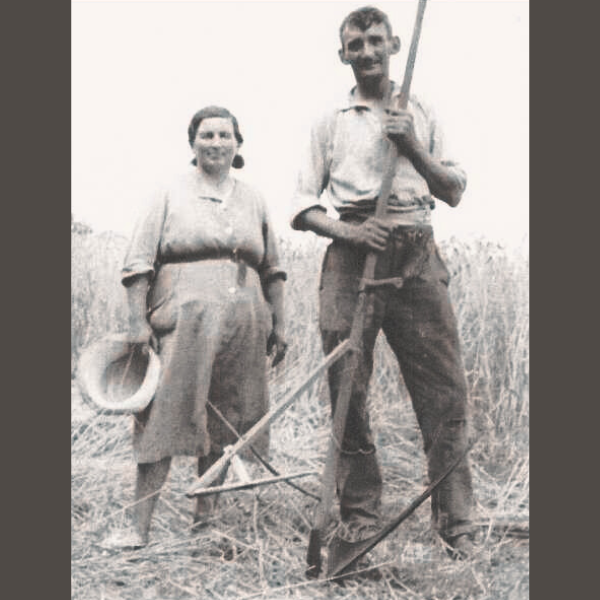 Vintage farmer photo